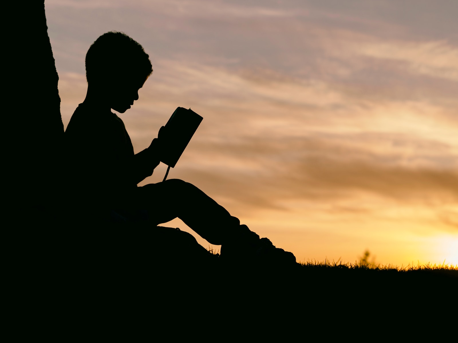 Educar na religião?